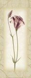 Blossom I, Lisianthus Art by Donna Geissler