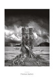 Stumped Art by Thomas Barbey