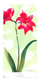 Asian Lily Print by Martha Collins