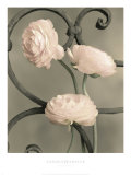 Iron Trellis I Pósters por Sondra Wampler