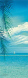 Tropic Garden I Posters by Howard Page