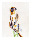 Barbados Green Monkey Giclee Print by Corrie Scott