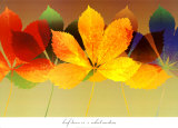 Leaf Dance II Print by Robert Mertens