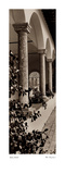 Portico, Toscana Posters by Alan Blaustein