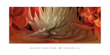 Dahlias IV Pósters por Huntington Witherill