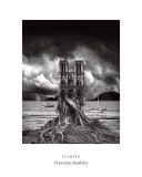 Stumped Posters av Thomas Barbey Stumped Posters av Thomas Barbey