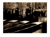 Punts on the River Cam, Cambridge Poster par Derek Langley