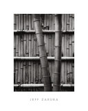 Bamboo and Wall Posters par Jeff Zaruba