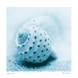 Nautica III Prints by Alan Blaustein