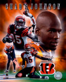 Chad Johnson Photo
