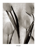 Tulips on Ice Posters by Ryuijie 