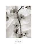 Cherry Blossoms in Winter Póster por Ryuijie Cherry Blossoms in Winter Póster por Ryuijie