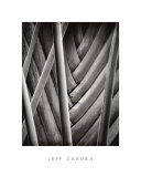 Palm Pattern Prints by Jeff Zaruba