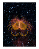 Cancer June 22 - July 22 Giclee-trykk av Richard Bromley Cancer June 22 - July 22 Giclee-trykk av Richard Bromley