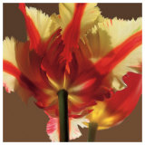 Soiree II Print by S. G. Rose