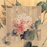Hydrangea II Prints by Cara Jones