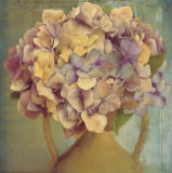 Lavender Hydrangea Prints by Sally Wetherby