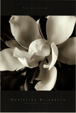 The Unfolding III Poster by Christine Elizabeth