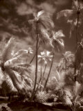 Place of Refuge II Prints by Kathleen Carr