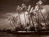 Place of Refuge III Posters par Kathleen Carr