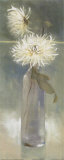 White Spider Mums II Pósters por Adelene Fletcher White Spider Mums II Pósters por Adelene Fletcher