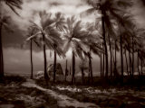 Place of Refuge IV Art by Kathleen Carr
