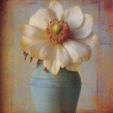 Floral Study II Prints by Sally Wetherby