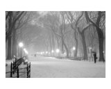 Literary Walk Snowstorm - Central Park, New York Photographie par DW labs