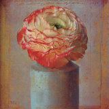 Floral Study I Print by Sally Wetherby