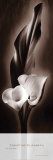 The Unfolding I Posters par Christine Elizabeth