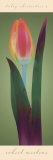 Tulip Chromatics II Prints by Robert Mertens