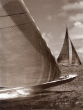 Sepia Sails I Poster by Cory Silken
