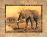 Elephant Poster