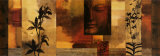Dharma II Julisteet tekijänä Chris Donovan