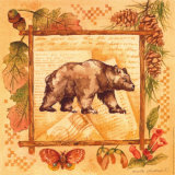 Bear Posters by Anita Phillips