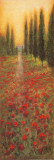 Tuscan Mood II Prints by Jon McNaughton