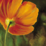 Coquelicots Dans Le Soleil III Láminas por Pierre Viollet Coquelicots Dans Le Soleil III Láminas por Pierre Viollet