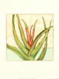 Tropicana Botanical VI Print by Jennifer Goldberger