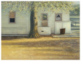 Sunlit Oak Posters by Chris Groshong Sunlit Oak Posters by Chris Groshong