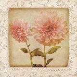 Dynamite Dahlia II Posters by Linda Maron