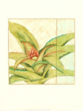 Tropicana Botanical IV Poster par Jennifer Goldberger