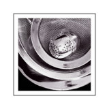 Tea Ball Posters by Dick & Diane Stefanich