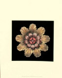 Classic Rosette II Print