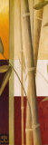 Oriental Flavor II Posters