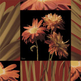 Crimson Mums Poster par Katrina Craven