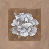 White Chocolate II Print by Carol Robinson