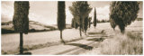 Road Through Tuscany Art by Michael Hudson