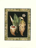 Tropical Bounty IV Print