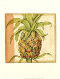 Ginger Pineapple I Art by Jennifer Goldberger