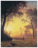 Den hvite indianer Plakat av Albert Bierstadt Den hvite indianer Plakat av Albert Bierstadt
